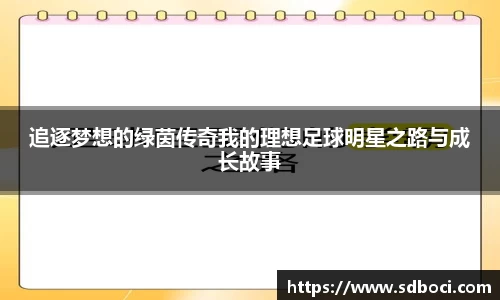 追逐梦想的绿茵传奇我的理想足球明星之路与成长故事