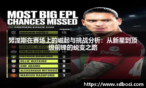 努涅斯在赛场上的崛起与挑战分析:从新星到顶级前锋的蜕变之路